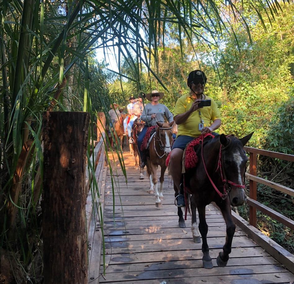 Cavalgada no Pantanal atrai turistas que pagam R$ 10 mil pela experiência